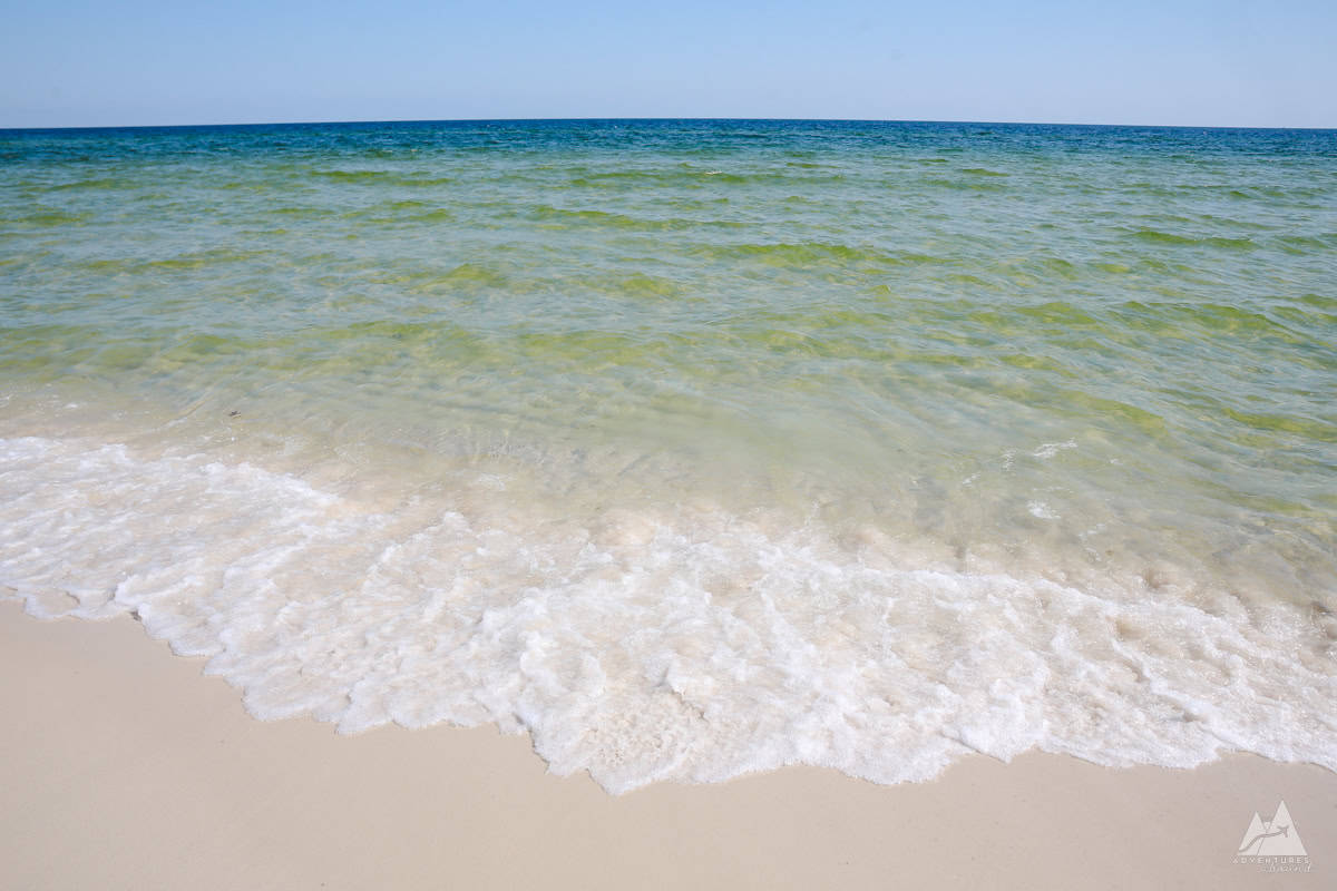 Things To Do In Gulf Shores And Orange Beach For A Nature-filled ...