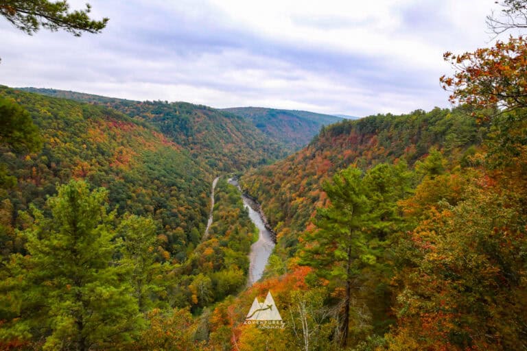 My Favorite Things to Do in the PA Wilds: Exploring Pennsylvania’s Northern Wilderness