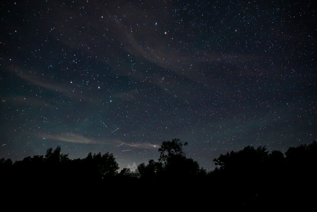 A dazzlingly starry night sky, with faint swoops of clouds, lined with the siloutte of trees at the bottom. Cherry Springs Dark Sky International Park is able to have clear views like this due to little light pollution.