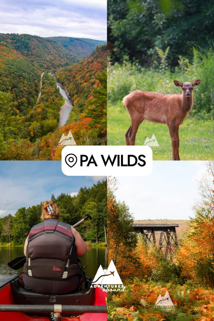 A collage of 4 images and the words PA Wilds with a location pin in the middle, and a white Adventures Abound branding logo at the bottom. The four images are, in clockwise order, a river running through a gorge of mountains covered in green trees and fall colors, a baby elk standing in a green meadow, a bridge peeking out between trees that are bright orange and green ferns in the foreground, and a woman wearing a life jacket paddling in a red canoe on a lake.