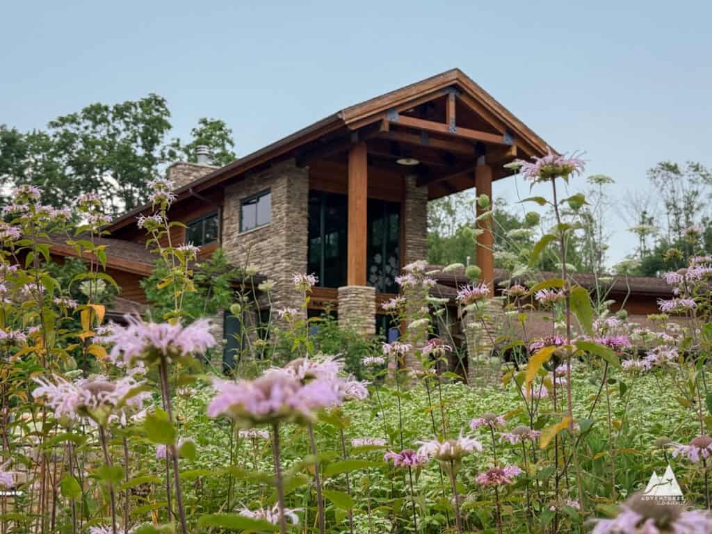 The facade of the Keystone Elk Country Alliance Visitor's Center with stone columns and wooden beams, behind a tall meadow of wildflowers with bees buzzing around them.