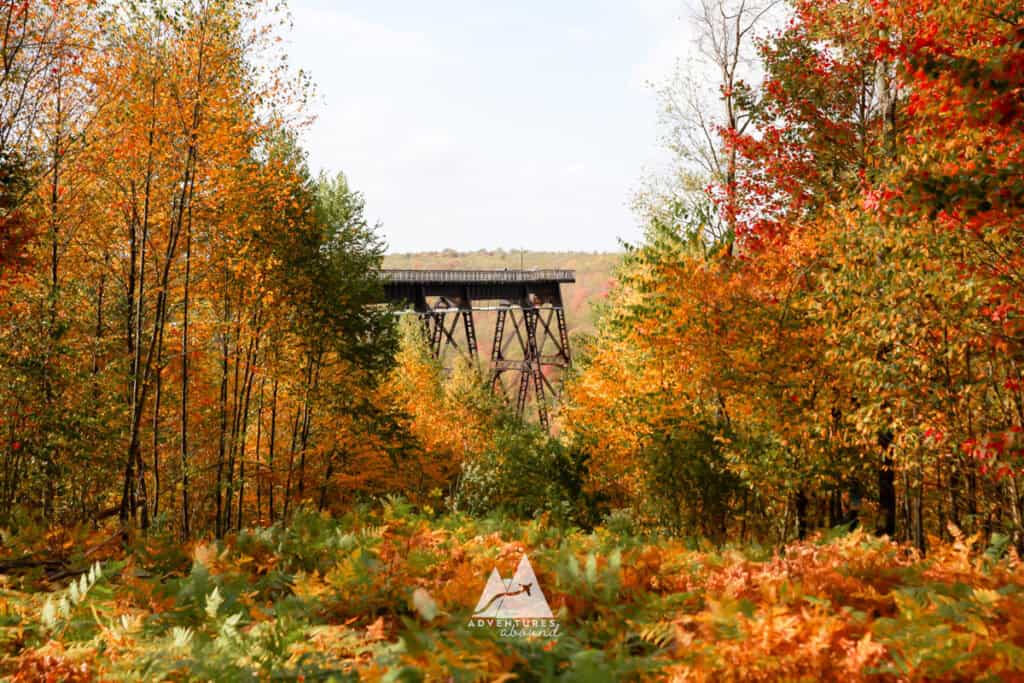Bright orange, red, and yellow leaves dot the trees framing a bridge in the distance. The Kinzua Bridge Skywalk follows the old railroad bridge, now a state park.