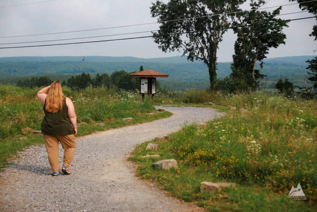 A girl stands in front of a winding path in a meadow, filled with yellow and white wildflowers and lined with large stones. At the end of the path is an information hut, and hazy blue mountains in the distance.